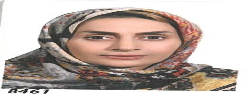 mina ebrahimi